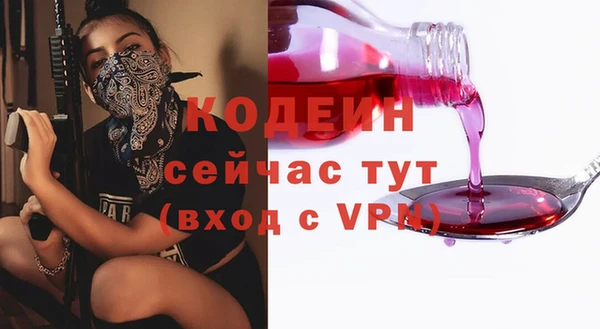 хмурый Абаза