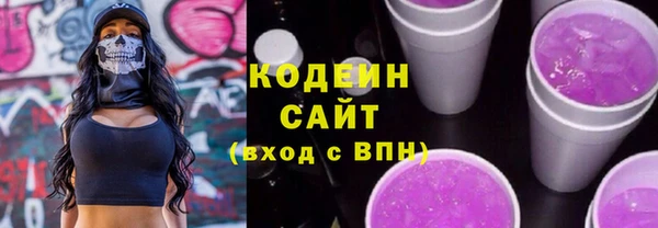 хмурый Абаза