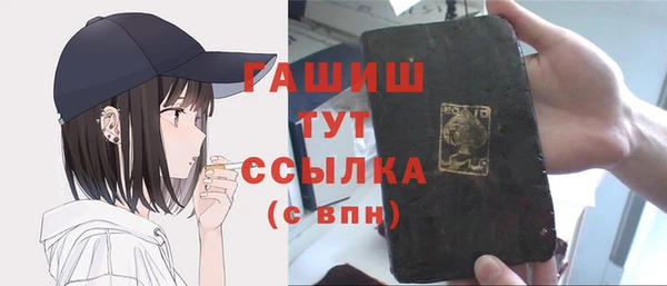 хмурый Абаза