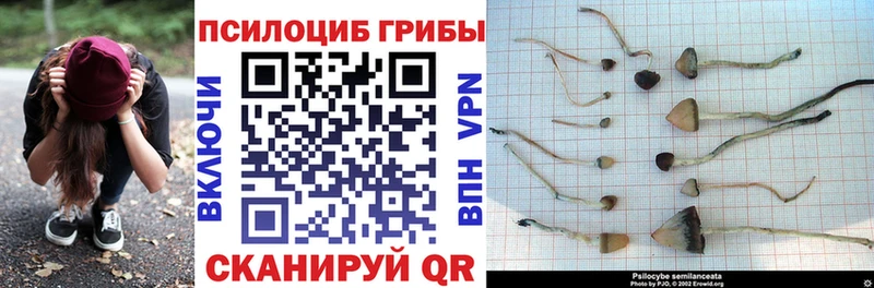 Галлюциногенные грибы мицелий  это Telegram  Дивногорск 