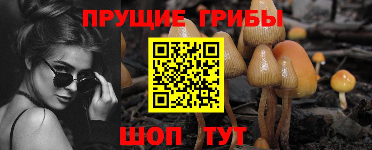Дивногорск  Галлюциногенные грибы MAGIC MUSHROOMS  Вход с VPN 