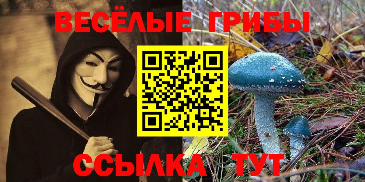 Псилоцибиновые грибы мицелий Дивногорск