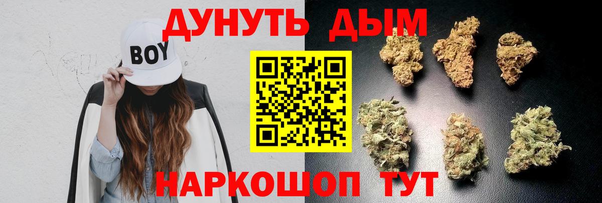 Конопля план Дивногорск